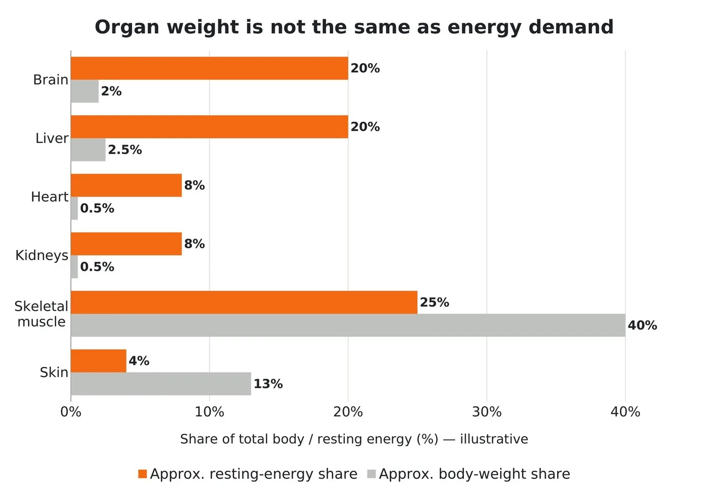Brain is about 2% of body weight but uses about 20% of resting energy