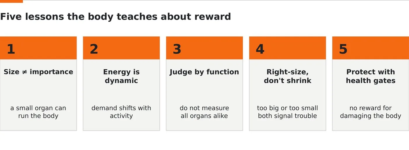 The five lessons of the body